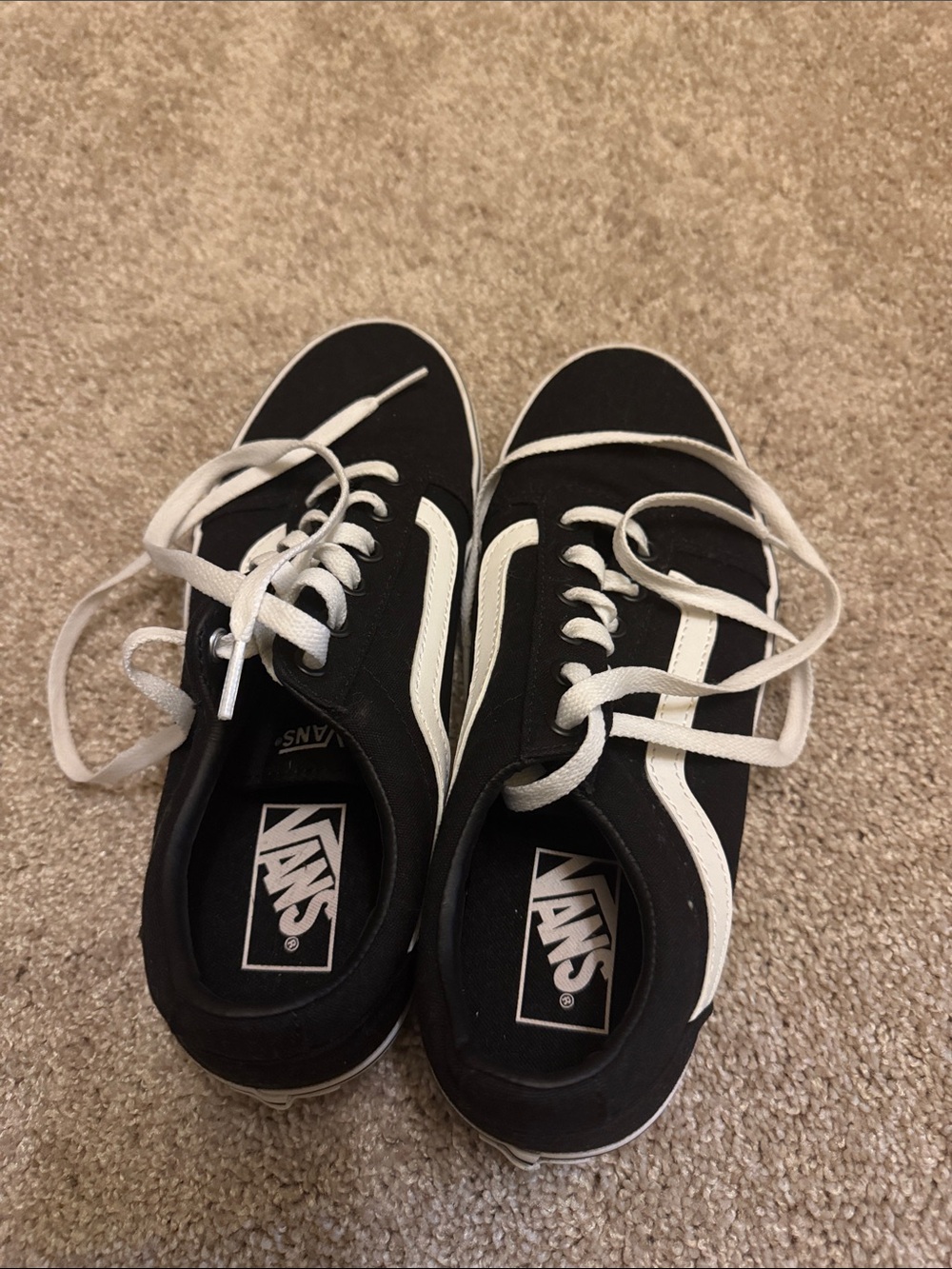 Vans Black and White Low-Top Skate Sneakers